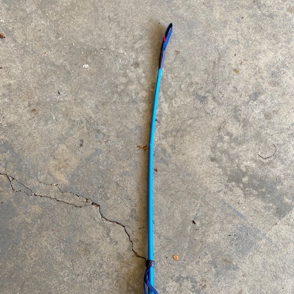 horse whip and long lead rope